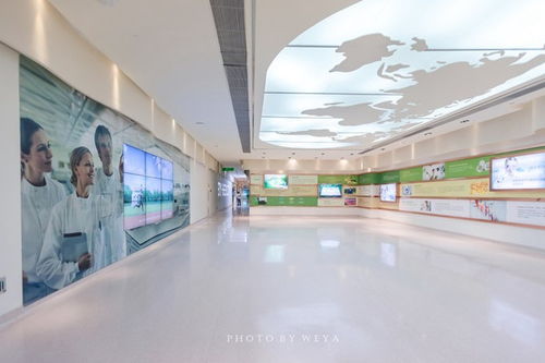 面面旅拍 探索奇妙科技工廠，坐擁海洋度假天堂，珠海盡情玩樂放縱一夏