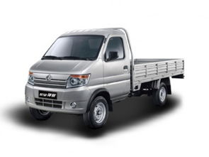 邢臺神騏T20 2018款 1.3L CNG載貨車標準型單排DAM13R 報價、降價趨勢與市場分析